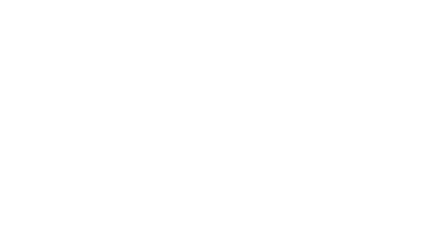 Northern Plus Logo